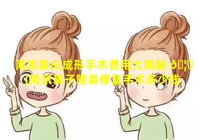 南京鼻尖成形手术费用大揭秘 🦋 (南京鼻子隆鼻修复手术多少钱)